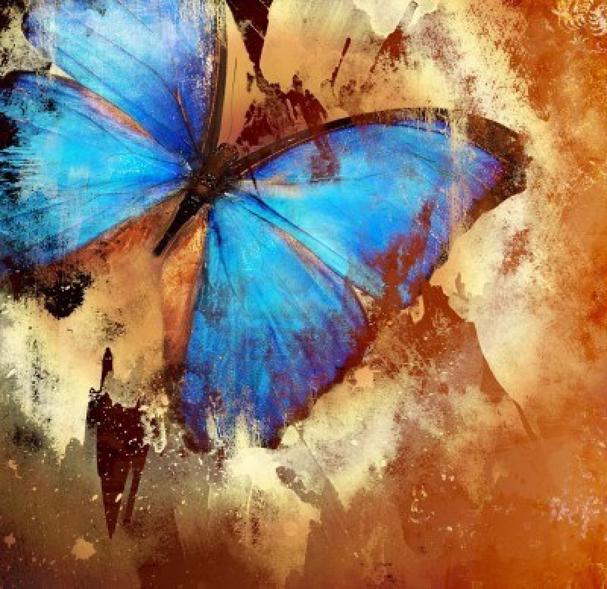 2120685-painting-with-butterfly